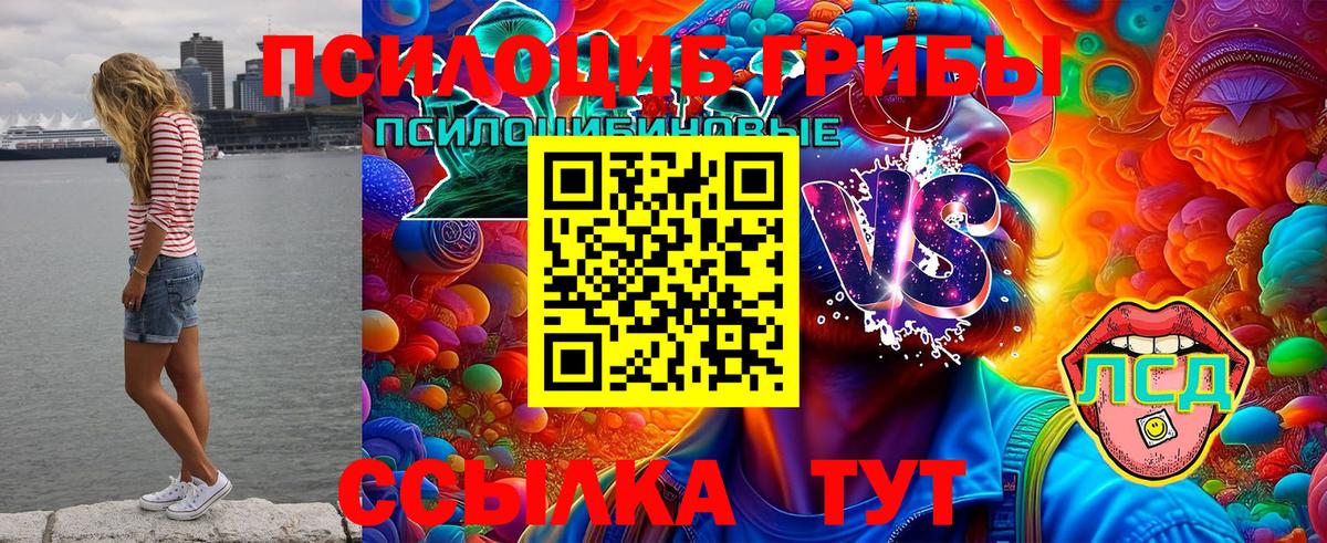 Галлюциногенные грибы Magic Shrooms Курск